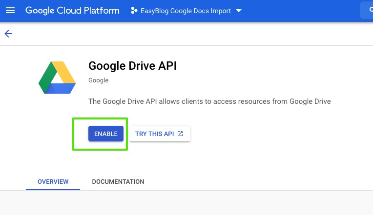 Enable Google APIs & Services