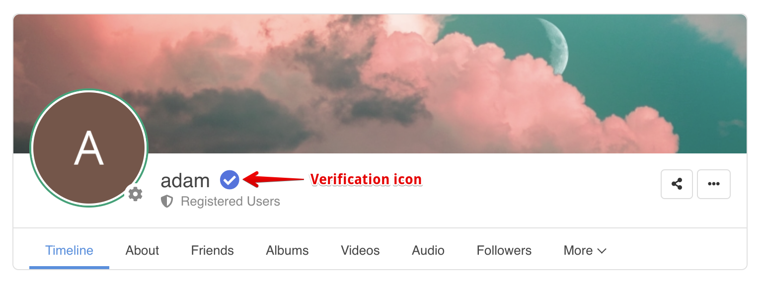 Verification badge on the user profile