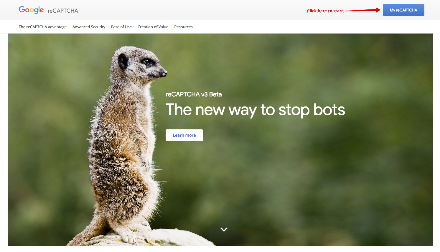 Captcha & reCaptcha